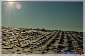 6742197519_337af90ba4_o