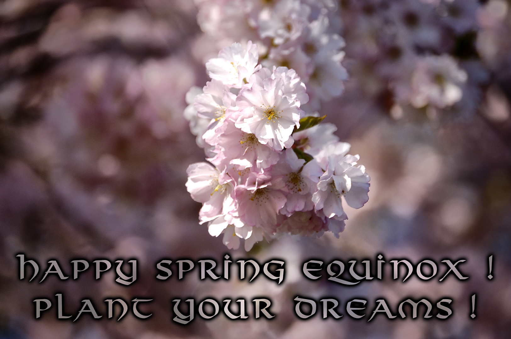 Spring equinox – Plant your dreams