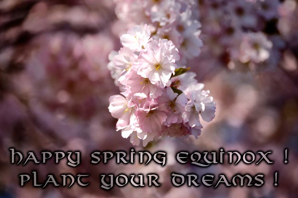 Spring equinox – Plant your&nbsp;dreams