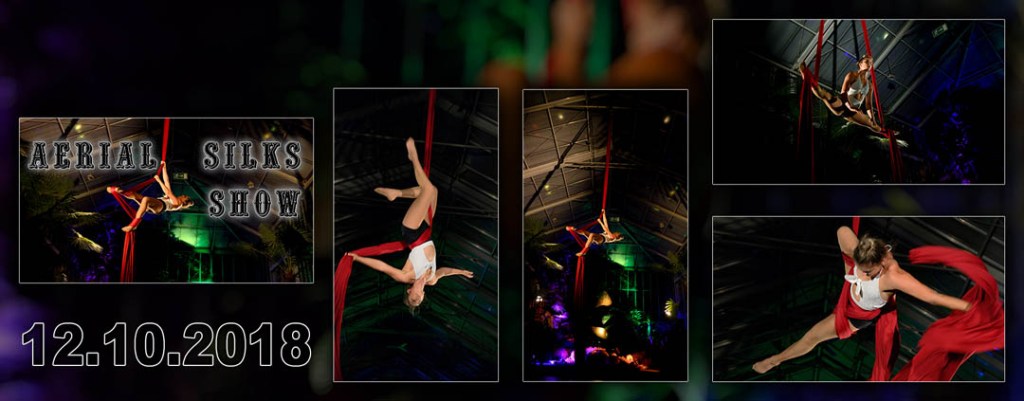 Aerial silks show&nbsp;2018